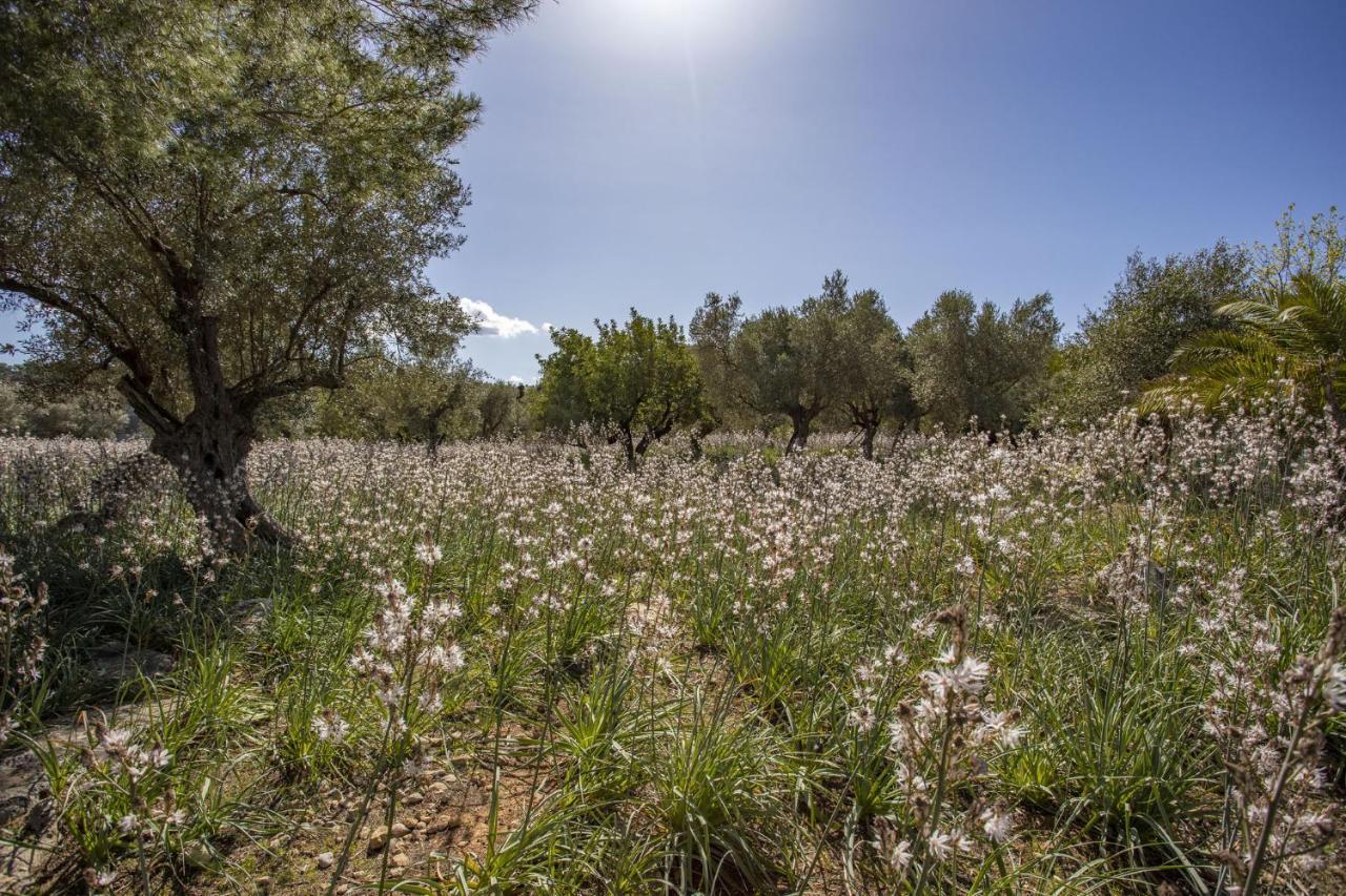 Finca Barons Bunyola Eksteriør bilde